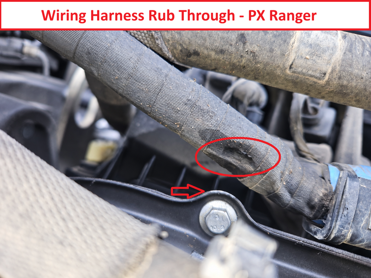 PX Ranger Wiring Loom Guard